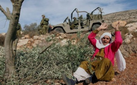 ފަލަޞްޠީންގެ ރައްޔިތުން އެމީހުންގެ ބިން  ދޫކޮށް ދާން ބޭނުން ނުވަނީ  ކީއްވެ!