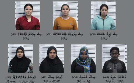 ހަށި ވިއްކާ ކަމުގެ ތުހުމަތަށް ދިވެހިން ހިމެނޭ ގޮތަށް 7 މީހަކު ހައްޔަރުކޮށްފި