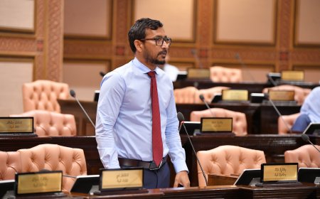 ގަދައަށް ސޯޝަލް މީޑިއާ ބޭނުންކުރޭ, ބިލުން ހުރަހެއް ނެތް- ފަލާހު