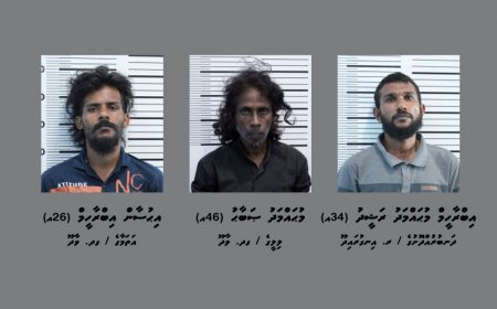 ފިހާރައެއް ފަޅާލައިގެން ފައިސާއާއި ސިނގިރޭޓް ކާޓޫނުތަކެއް ވަގަށް ނެގި ތިން މީހަކު ހައްޔަރުކޮށްފި