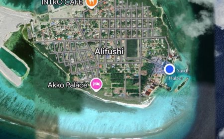 ރ.އަލިފުށިން ފީނަން ދިޔަ ޒުވާނަކު މަރުވެއްޖެ