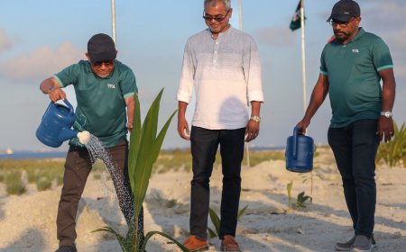 އެމްޕީއެލްއިން އެއް މިލިއަން ގަސް އިންދުމުގެ ޕްރޮގްރާމެއް ފަށައިފި