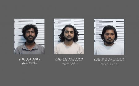ކިލޯއަކަށްވުރެ ގިނަ މަސްތުވާތަކެއްޗާއެކު ތިން މީހަކު ހައްޔަރުކޮށްފި