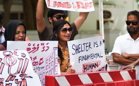 ގޯއްޗާއި ފްލެޓް ދިނުމަށް ގޮވާލާ އަޑު އުފުލައިފި