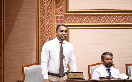 ފަތުރުވެރިކަން ނެތް ސަރަހައްދުތަކަށް ފަތުރުވެރިކަން ތަޢާރަފްކުރަން އިންވެސްޓަރުންނަށް ލުއި ދޭނަން- މިނިސްޓަރ ފައިސަލް