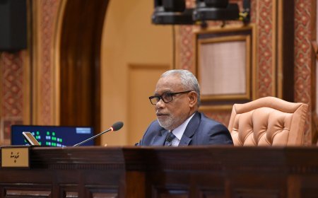 އިގްތިޞާދީ އިސްލާހީ ފިޔަވަޅުތަކަށް އެއްބާރުލުން ދޭނަން. ނަގާނީ މުސާރައިގެ ދެބައިކުޅަ އެއްބައި: މަޖިލީސް ރައީސް