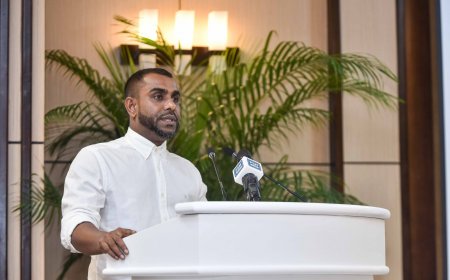 ދެކުނުގެ ފަތުރުވެރިކަމަށް ޚާއްޞަކޮށް އައްޑޫސިޓީގައި ސިމްޕޯޒިއަމްއެއް ބާއްވަނީ