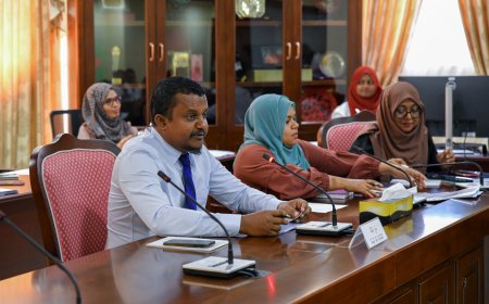 ސަޕްލިމެންޓްރީ ބަޖެޓް ދިރާސާ ކޮމެޓީގެ މުގައްރިރަކަށް އަލީ ފަޒާދު