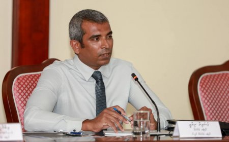 ދީބާޖާ އަށް ލިބުނު ގެއްލުމަށްވުރެ ފައިދާ ބޮޑު -އޮޑިޓް ރިޕޯރޓް