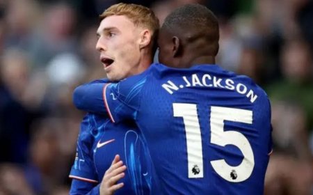 ޕްރިމިއަރ ލީގު: ޕާމާ އާއި ޖެކްސަންގެ ގޯލުން ޗެލްސީއަށް މޮޅެއް، ޔުނައިޓެޑާއި ޓޮޓްނަމް ބަލި