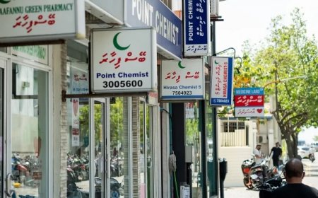 ބޭހުގެ އަގަށް ގެންނަން ބަދަލާއެކު އަހަރަކު 220 މިލިއަން ރުފިޔާ ސަލާމަތް ކުރެވޭނެ- އެންސްޕާ
