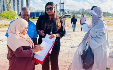 ހުޅުމާލެއިން ގޯތި ލިބުނު މީހުންނާ ގޯތި ހަވާލުކޮށް ނިމިއްޖެ