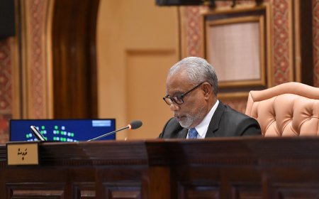 ސަޕްލިމެންޓްރީ ބަޖެޓް ފާސްކޮށްފި