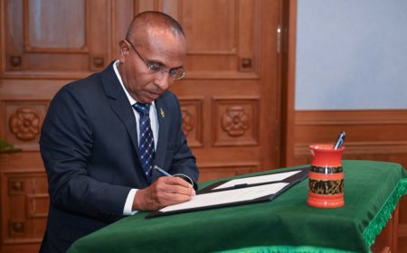 ސަރުކާރުން ހުށަހަޅާފައިވަނީ މިނިވަން މުއައްސަސާތަކުން އެދުނު އިސްލާހެއް- ހަބީބު