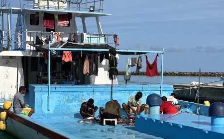 މަސްވެރިންނަށް ނުދެވި ހުރި ފައިސާ އެމީހުންނަށް ދޭން މިފްކޯއާ ހަވާލުކޮށްފި