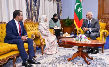 އިންޑިއާ އަދި ސަޢޫދީ ޢަރަބިއްޔާއަށް ސަފީރުން ޢައްޔަން ކުރައްވައިފި