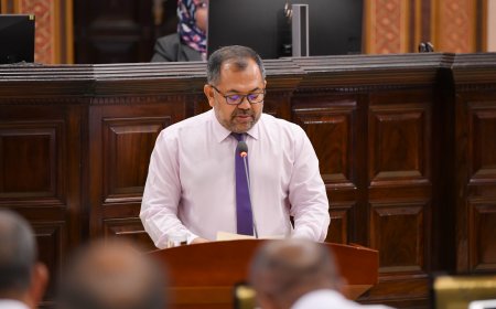 އަންނަ އަހަރަށް 56.6 ބިލިއަން ރުފިޔާގެ ބަޖެޓެއް ހުށަހަޅައިފި