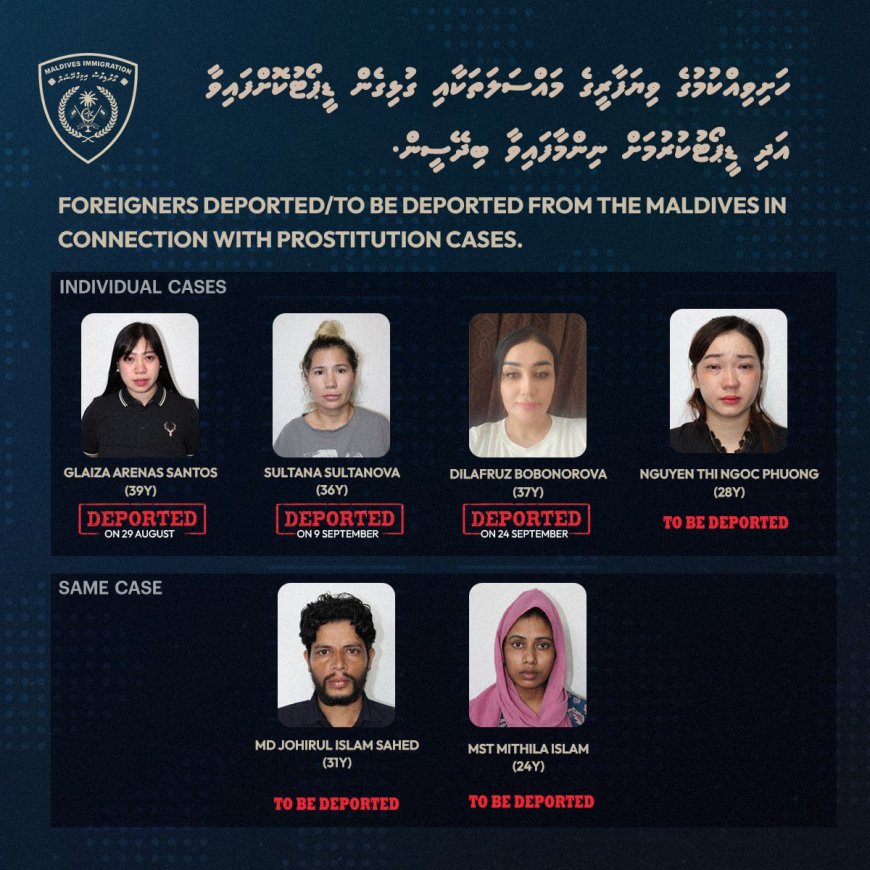 ހަށި ވިއްކަމުން ދިޔަ ނެޓްވޯކެއް ހައްޔަރުކޮށް ތިން މީހުން ޑީޕޯޓް ކޮށްފި