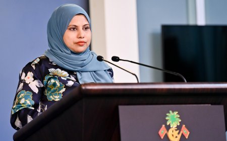 ސޯޝަލް މީޑިޔާގެ ޕްލެޓްފޯމްތައް ބްލޮކްކުރާ ކަމަށް ފަތުރާ ވާހަކައަކީ ދޮގެއް- ސަރުކާރު