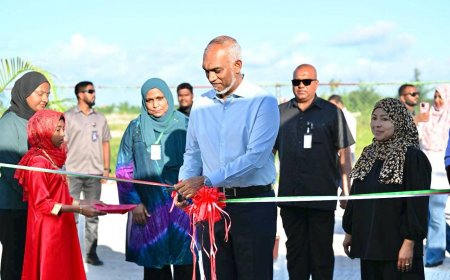 ބުޅާ ތަކަށް 'އޮޅުހިޔާ' ހުޅުވައިފި