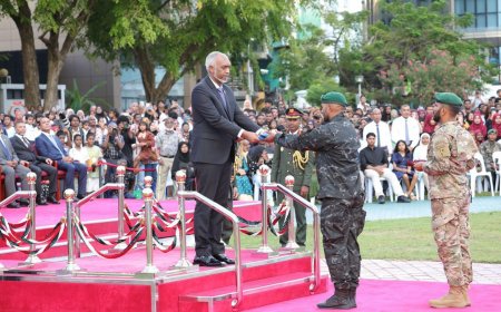 ކަނޑުމަތީގެ ބޮޑަތި އޮޕަރޭޝަންތަކަށް އެމްއެންޑިއެފްގައި ވަކި ޔުނިޓެއް އުފައްދައިފި