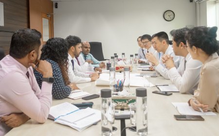 މާލެ-ވިލިމާލެ މަގު ހެދުމުގެ މަސައްކަތަށް ޗައިނާގެ ޓެކްނިކަލް ޓީމެއް އަތުވެއްޖެ