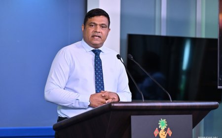 ޑޮމެއިންގެ ހުއްދަތައް އާކުރަން 60 ދުވަސް ދެނީ