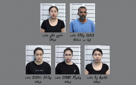 ސްޕާއެއް ރެއިޑްކޮށް ހަށިވިއްކުމުގެ ތުހުމަތުގައި 5 މީހަކު ހައްޔަރުކޮށްފި