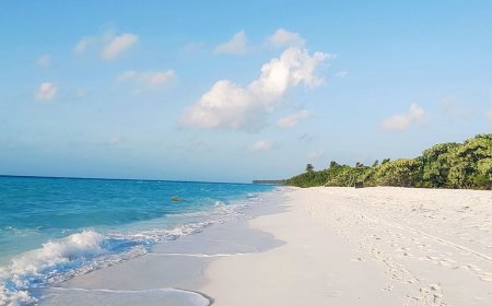 ދިގުރަށް ކައިރިއަށް ސްނޯކްލިންއަށް ދިޔަ ޓުއަރިސްޓަކު ދޯންޏެއްގެ ބުރަފަތީގައި ޖެހި މަރުވެއްޖެ