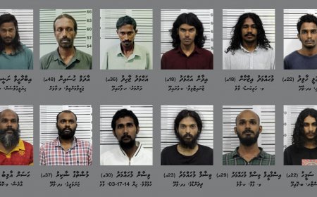 މީހަކު ރަހީނުކުރި 12 މީހުންގެ ވަނަވަރު ފުލުހުން ޢާއްމުކޮށްފި