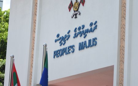 އިޒްރޭލް ޕާސްޕޯރޓް މަނާކުރާ ބިލްގެ މަސައްކަތް ފަށަނީ