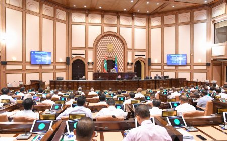 ނޯޓިސް ފޮނުވާތާ 3 ދުވަސްތެރޭގައި މަޖިލިހަށް ހާޒިރުވާން ޖެހޭގޮތަށް ފާސްކޮށްފި