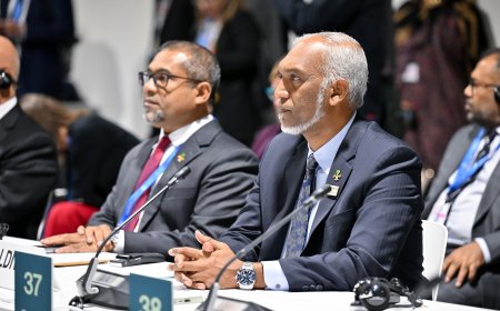 ތިމާވެށީގެ ގޮތުން ނާޒުކު ޤައުމުތަކަށް ކްލައިމެޓް ފައިނޭންސްގެ އާ ލަނޑުދަނޑިއެއް ކަނޑައެޅުމަށް ރައީސުލްޖުމްހޫރިއްޔާ ގޮވާލައްވައިފި