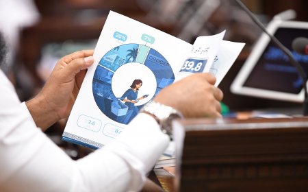އަންނަ އަހަރުގެ ދައުލަތުގެ ބަޖެޓް އިންފޯރގްރަފީ ތައްޔާރުކޮށްދޭނެ ފަރާތެއް ހޯދަނީ