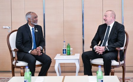 ރައީސުލްޖުމްހޫރިއްޔާ އަޒަރްބައިޖާންގެ ރައީސާ ބައްދަލުކުރައްވައިފި