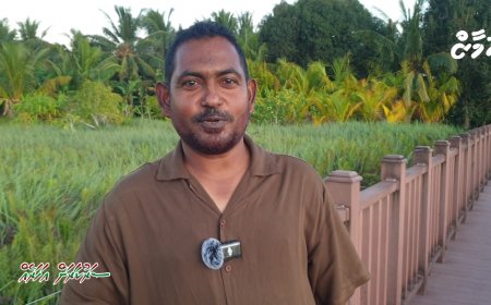 ސަރުކާރަށް އަހަރެއް: އިގްތިޞާދު ހަރުދަނާ ކުރުމަށް ހަރުދަނާ ފިޔަވަޅުތަކެއް ވަނީ އަޅާފަ.