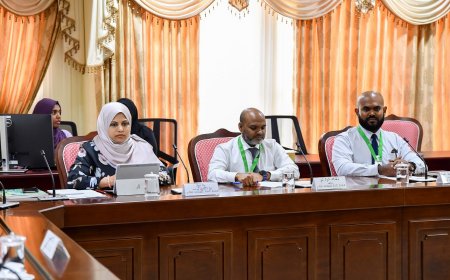 ހެޔޮ އަގުގައި ބޭސްވިއްކުމަށް ދެކޮޅުހަދާ ދެތިން ފާމަސީއެއް ފާހަގަކުރެވިފައިވޭ: އެންސްޕާ