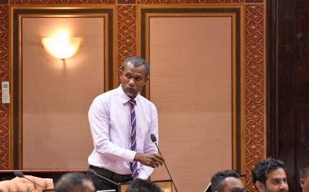 އިޒްރޭލް ޕާސްޕޯރޓް މައްސަލަ އަވަސްކުރުމަށް ގޮވާލާ ހުށަހެޅި ގަރާރު ބަލައިގަންނަން ޓޮމް ވޯޓް ދީފި