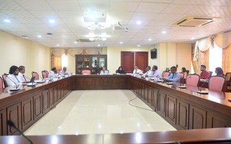 އިޒްރޭލް ޕާސްޕޯރޓް މަނާކުރުމުގެ ކުރިން މައުލޫމާތު އެއްކުރަން އިދާރާތައް ހާޒިރުކުރަނީ