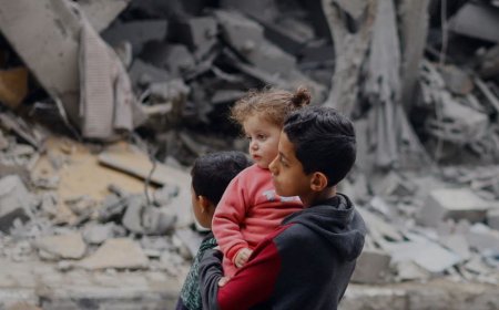 17,400 މިއީ ހަމައެކަނި ނަމްބަރެއްތަ! ޣައްޒާގެ ކުޑަކުދިންގެ ޖީލެއް ނެތިކޮށްލައިފި