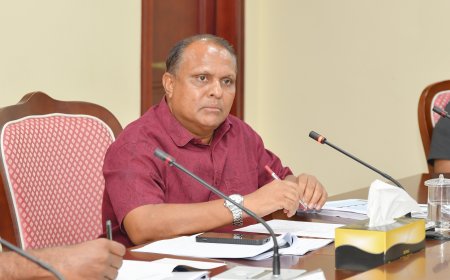 އީސީން ވަކިކުރާ މެމްބަރުންނަށް  ސިޔާސީ ގޮތުން މަސައްކަތް ކުރުމުގެ ތުހުމަތު!