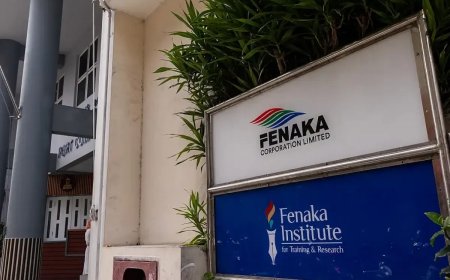 2022 ވަނަ އަހަރު 2400 އަށްވުރެ ގިނަ މުވައްޒަފުން ފެނަކައަށް ވެއްދި