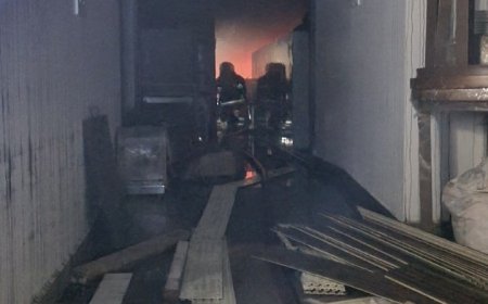 10 ވަނަ ފަންގިފިލާގައި ހުރި ގުދަނެއްގައި ރޯވި އަލިފާންގަނޑު ނިއްވާލައިފި