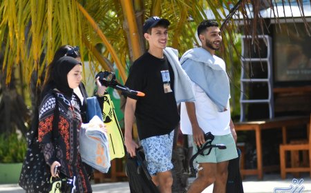 ޑޮލަރު މާރުކުރުމުގައި ލުއިތަކެއް ލިބޭ ގޮތަށް ބިލެއް އެކުލަވާލައިފި