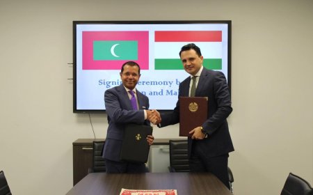ތަޖަކިސްތާނުން ރާއްޖެއަށް އޮންއެރައިވަލް ވިސާ