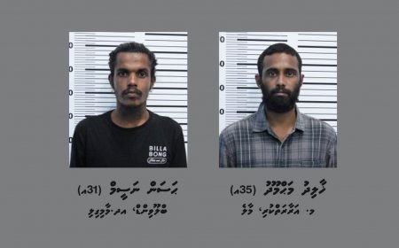 ކާރެއްގައި ރޯކޮށްލި ދެމީހަކު ހައްޔަރުކޮށްފި