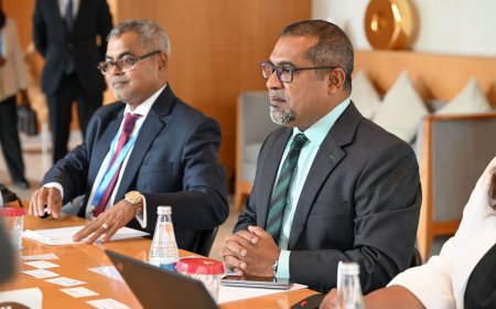 އަނިޔާވެރިކަމާއި, ނުރައްކާތެރި ބަސްތައް ބޭނުންކުރުމަކީ ޙިޔާލުފާޅުކުރުމުގެ މިނިވަންކަމެއް ނޫން- ފޮރިންގ މިނިސްޓަރ