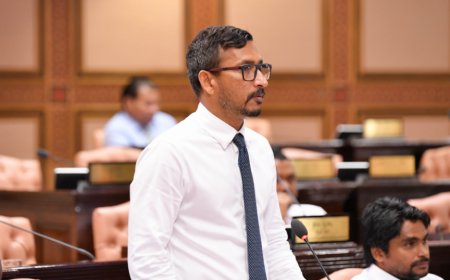 ކޮޕީ ރައިޓްސްގެ ގާނޫނުގެ ސަބަބުން އުފެއްދުންތެރިންގެ ހައްގުތައް ކަށަވަރުވެގެންދާނެ: ފަލާހު