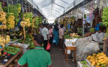 އޮކްޓޫބަރު މަހު ބާޒާރުގައި ތަކެތީގެ އަގު ދަށަށް