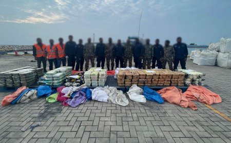 ގާނޫނު ތަންފީޒުކުރާ ފަރާތްތަކަށް ލިބިދޭ ބާރުތައް އިތުރުކޮށް މަސްތުވާތަކެއްޗާބެހޭ ގާނޫނަށް ބޮޑެތި އިސްލާހުތަކެއް